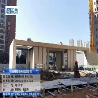 2月項目進度 ​